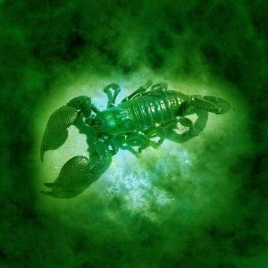 Horóscopo verde Escorpio