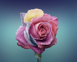 agua magica para el amor