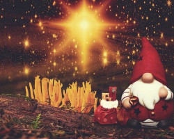 horoscopo de los gnomos